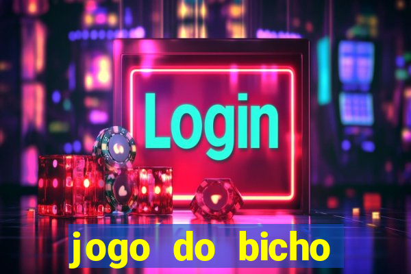 jogo do bicho crash bingo